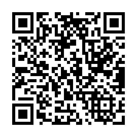 QR code for plate 425-SSI