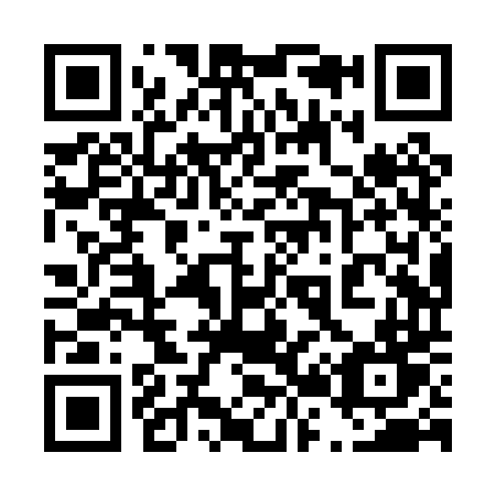 QR code for plate 428-PTT