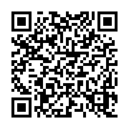 QR code for plate 432-LIZ