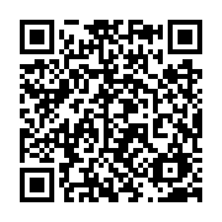 QR code for 438-WSG