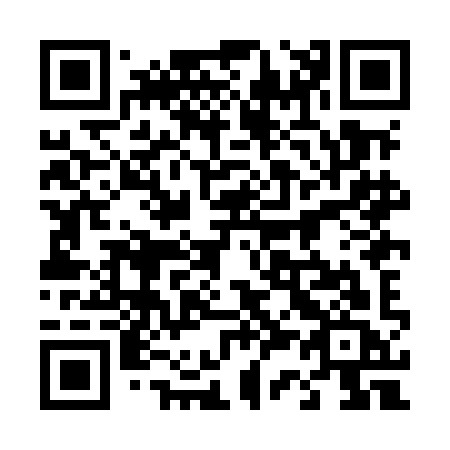 QR code for 438MIC