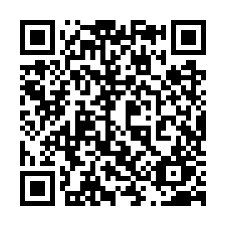 QR code for plate 438-WZT