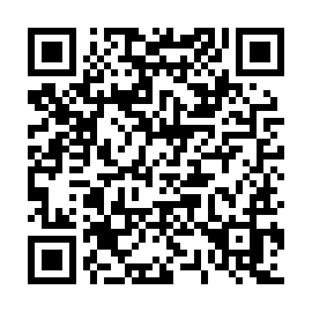 QR code for 439-LYJ