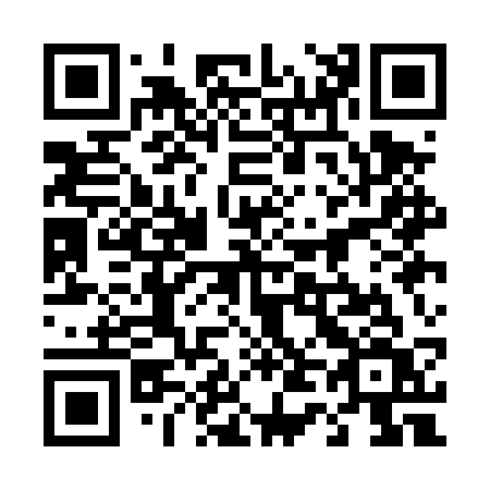 QR code for 441-DSV