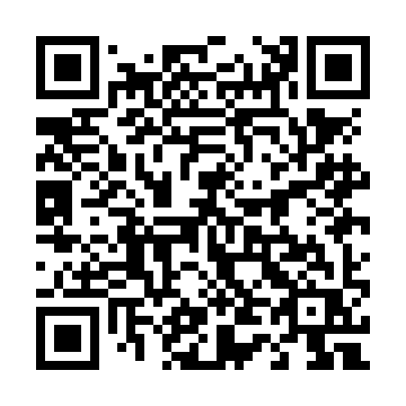 QR code for 441-NIR