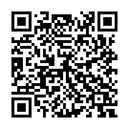 QR code for 441ITS