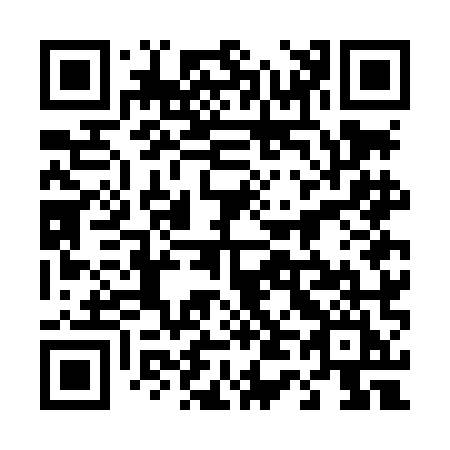 QR code for 447-LMI
