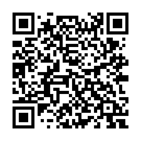 QR code for plate 449-VKB