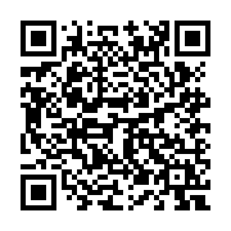 QR code for plate 450-JMX