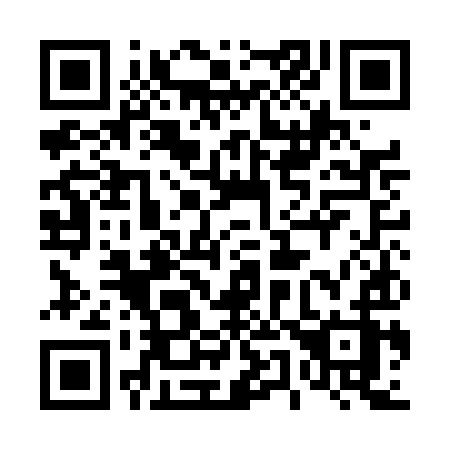 QR code for 451-DIZ