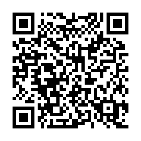 QR code for 451-JZD
