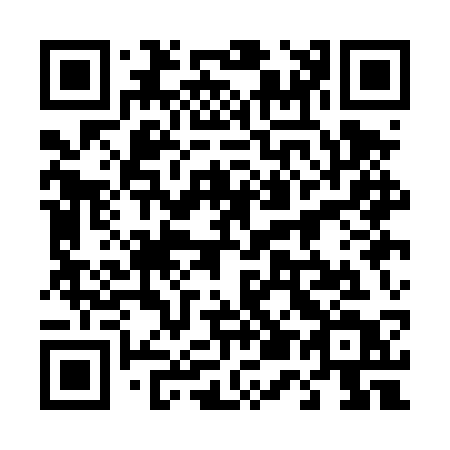QR code for plate 451-DST