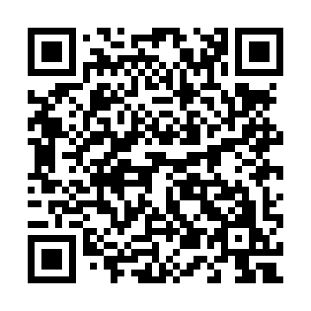 QR code for plate 451-LYO
