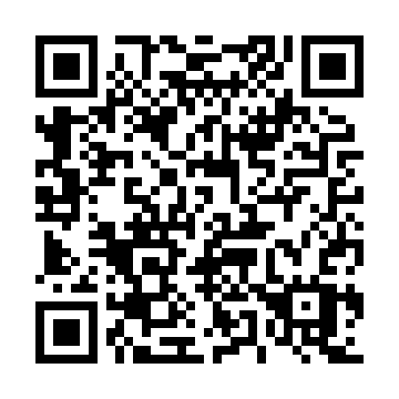 QR code for plate 453-HSW