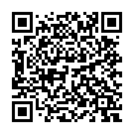 QR code for 455-DPS