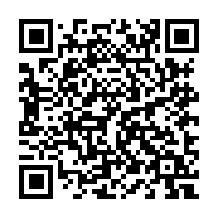 QR code for 455HIT