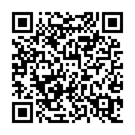QR code for plate 456-IUE