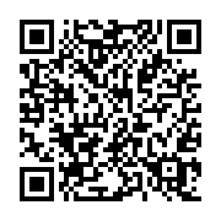 QR code for plate 456-UEG