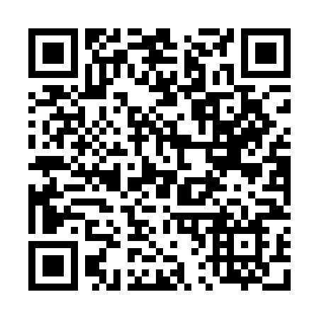 QR code for plate 460-ANN
