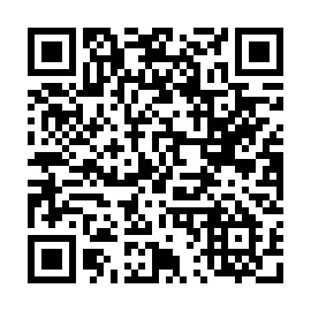 QR code for 460FSM