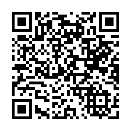 QR code for 461-FEL