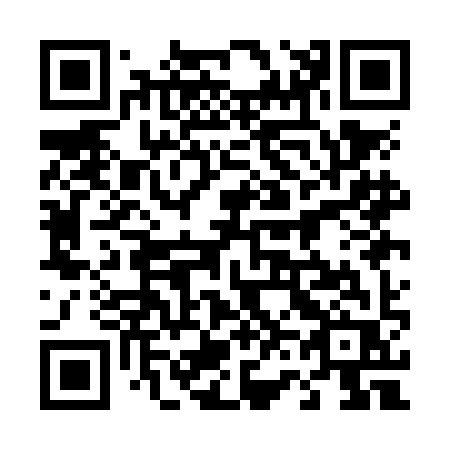 QR code for plate 461-NIR