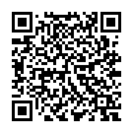 QR code for plate 461-QGR