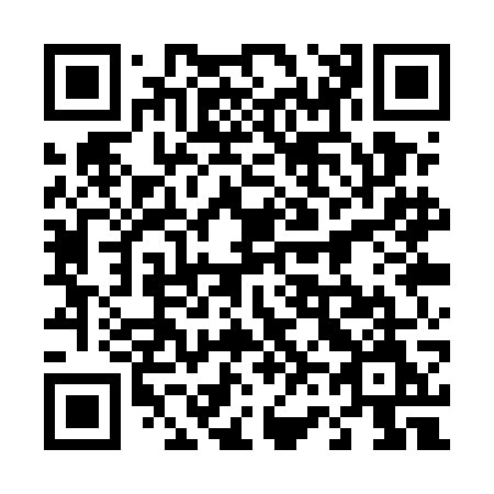 QR code for plate 461-UGM