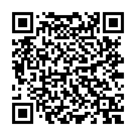 QR code for plate 461-XSP
