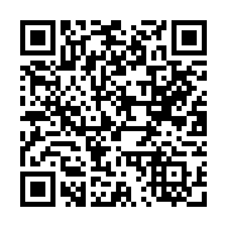 QR code for 462-BGS