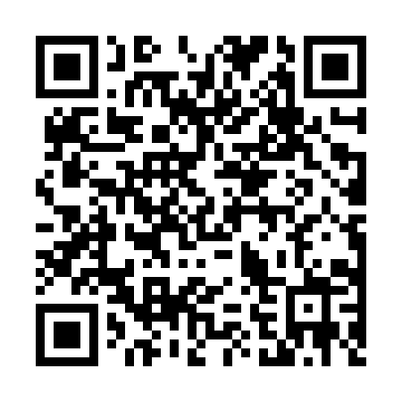 QR code for 462-JYZ