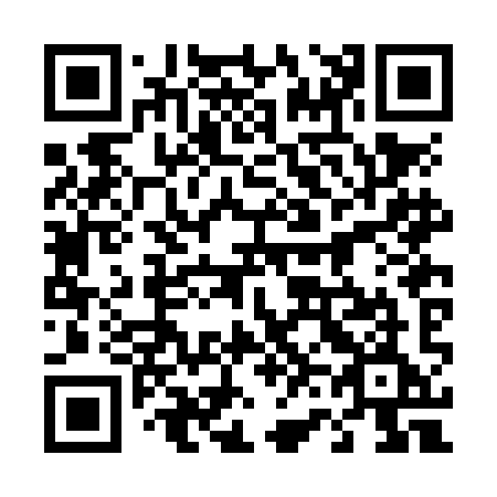 QR code for 462-NIE