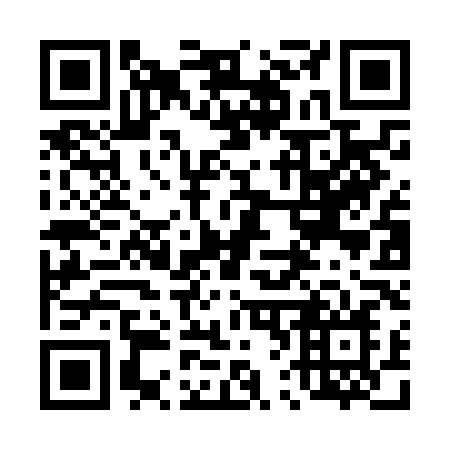 QR code for plate 462-NLN