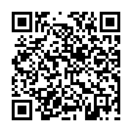 QR code for 463-APU