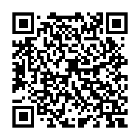 QR code for 463-BUS