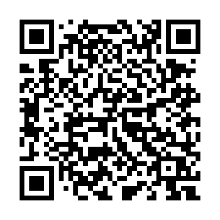 QR code for 463-DLP