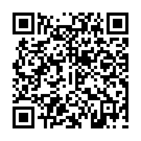 QR code for 463-GSP