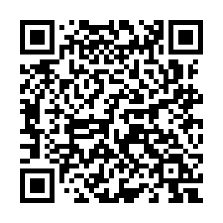 QR code for 463-IBL