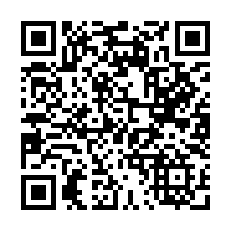 QR code for 463-IIG