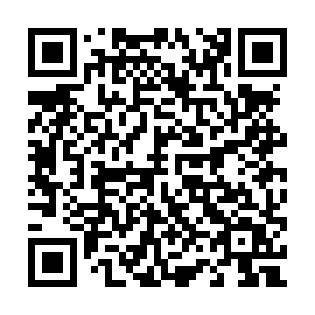 QR code for 463-LXT