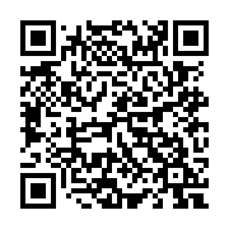 QR code for 463-OKG