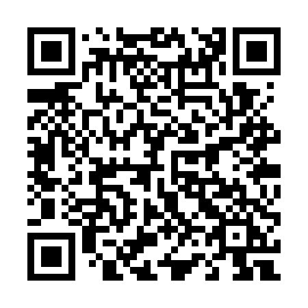 QR code for 463-WTI