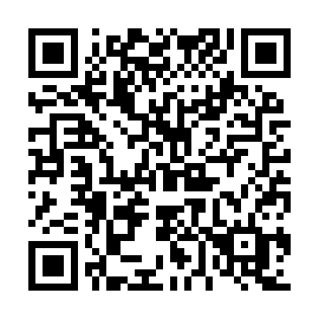QR code for 463-YSD