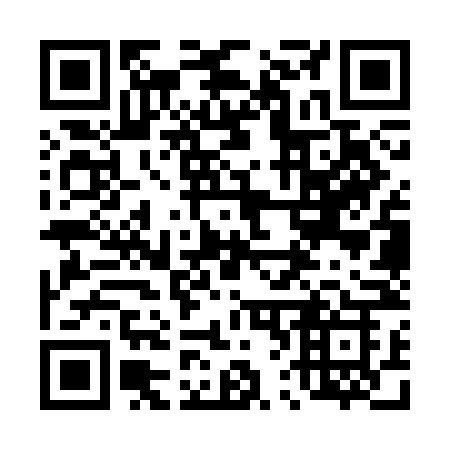 QR code for 463SNK