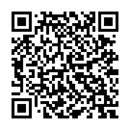 QR code for 463TAM