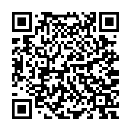 QR code for 466-PNS