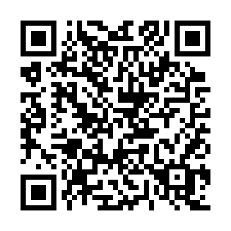QR code for plate 471-STF