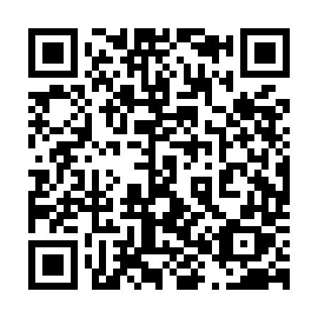 QR code for plate 480-MDX