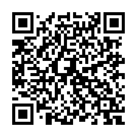 QR code for plate 481-MAS