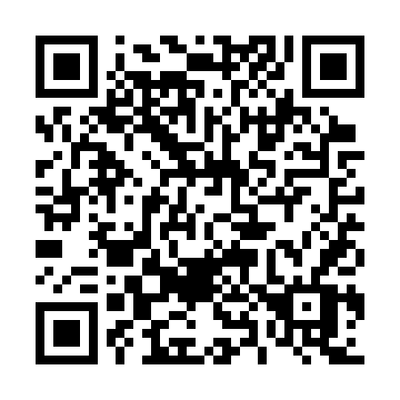 QR code for plate 481-STV
